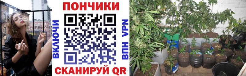 Наркотические вещества Великие Луки Псилоцибиновые грибы  МЕФ  ГАШ  Каннабис  АМФЕТАМИН 