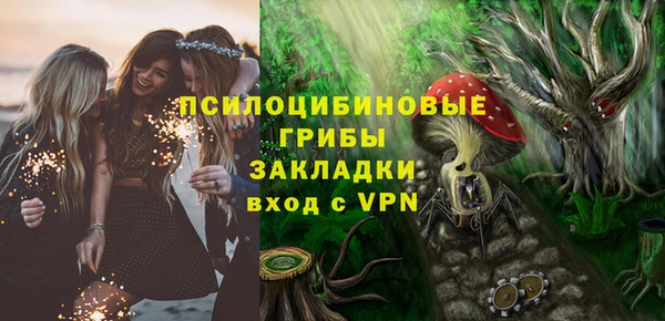 дживик Горняк