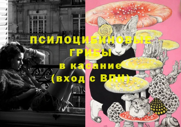 дживик Горняк