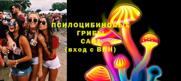прущие крисы Гусев