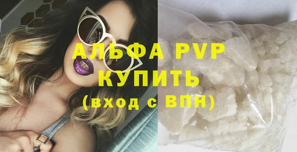 дживик Горняк