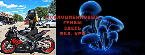 прущие крисы Гусиноозёрск