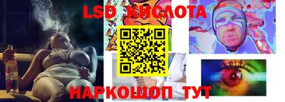 ГАЛЛЮЦИНОГЕННЫЕ ГРИБЫ Гагарин