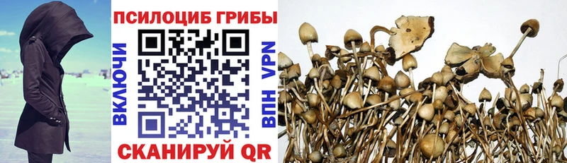 цена наркотик Великие Луки Галлюциногенные грибы ЛСД