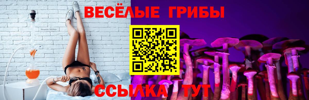 Псилоцибиновые грибы мицелий Великие Луки